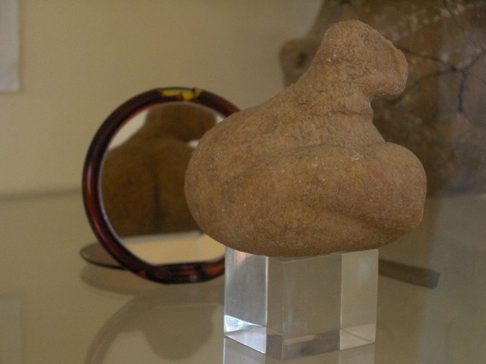 Ειδώλειο παχιάς Κυρίας στο Αρχαιολογικό Μουσείο Πάρου εύρημα από την νήσο Σάλιαγκο. Στα ερείπια του οικισμού βρέθηκε μεγάλος αριθμός κεραμικών θρυμμάτων. Σχεδόν 3,5 τόνου του κεραμικού υλικού μελετήθηκε από τους επιστήμονες, που κατόρθωσαν να συναρμολογήσουν 60 πήλινα δοχεία και σκεύη ολικά ή εν μέρει. Το υλικό κατασκευής των πήλινων δοχείων προέρχεται από την περιοχή. Μερικά από τα σκεύη (περίπου 12%) έχουν εξαιρετικά λεία επιφάνεια και πρόκειται μάλλον για σκεύη που χρησίμευαν ως πιάτα για το φαΐ. Ένα 10% είναι ποτήρια ή κανάτες, ενώ τα υπόλοιπα είναι πιατέλες, πιάτα και κεσεδάκια. Ο πηλός έχει διάφορα χρώματα και αποχρώσεις κίτρινου, καφετί ή γκρι σκούρο και τα περισσότερα είναι διακοσμημένα με άσπρες ζωγραφιές γεωμετρικών σχηματισμών μεγάλης ποικιλίας. Που και που έχουν και διακοσμητικές αποτυπώσεις ή επικολλήσεις. Δυο μαρμάρινα θρύμματα μαρτυράν ότι σπάνια υπήρχαν και πολυτελή σκεύη.Επίσης βρέθηκαν τρία ειδώλια από μάρμαρο. Το ένα παριστάνει μια θεότητα της γονιμότητας με μορφή πολύ παχιάς γυναικείας σιλουέτας. Τα άλλα δύο ειδώλια έχουν μορφή πιο αφηρημένης τέχνης και θυμίζουν το σχήμα που έχει το βιολί. Το σχήμα αυτό θα παραμείνει σε χρήση για τα επόμενα 1000 χρόνια ακόμα και στα γύρω νησιά ως την εποχή του χαλκού. Εκπληκτικά είναι ο μεγάλος αριθμός και η ποικιλία των ευρημάτων του οικισμού. Βρέθηκαν περισσότερα από 25.000 εργαλεία από οψιανός, μεταξύ τους και 1100 λεπίδες που κατασκευάστηκαν στο νησί, ενώ το υλικό προέρχεται από τη Μήλο που απέχει 60 χιλιόμετρα, σπάνια δε και από το Γυαλί των Δωδεκανήσων, που σημαίνει ότι γινότανε εμπόριο σε ακτίνα σχεδόν 200ων χιλιομέτρων. Τα εργαλεία χρησιμοποιούνταν για ξύσιμο, ή είναι λεπίδες ή αιχμές. Οι αιχμές χρησιμοποιούνταν μάλλον σε τρίαινες για το ψάρεμα, αφού στο νησί δεν βρέθηκαν βέλη για τόξο. URL-https://el.wikipedia.org/wiki/Σαλιαγκός_Αντιπάρου